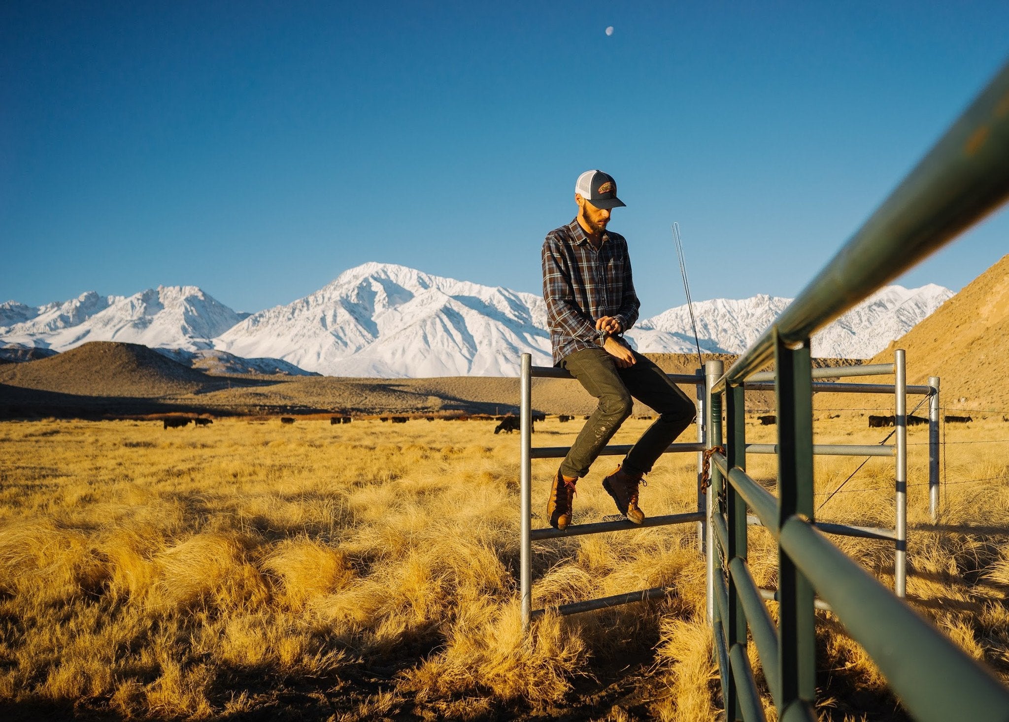 Men's Elli - Cazadero Brown Flannel