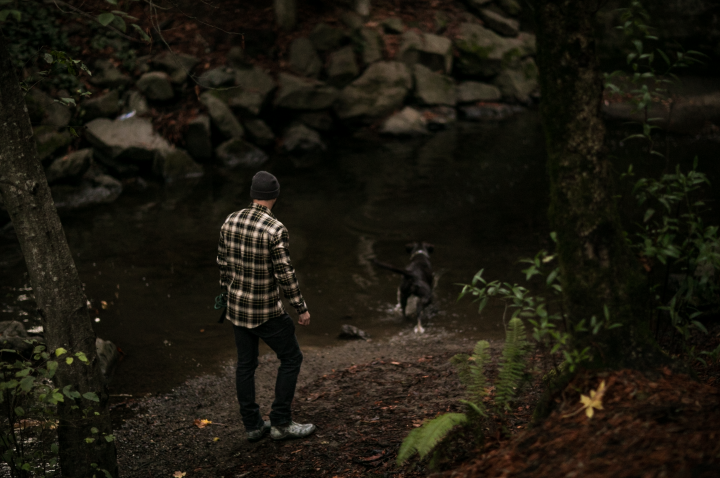 Men's Elli - Jackson Wheat Flannel