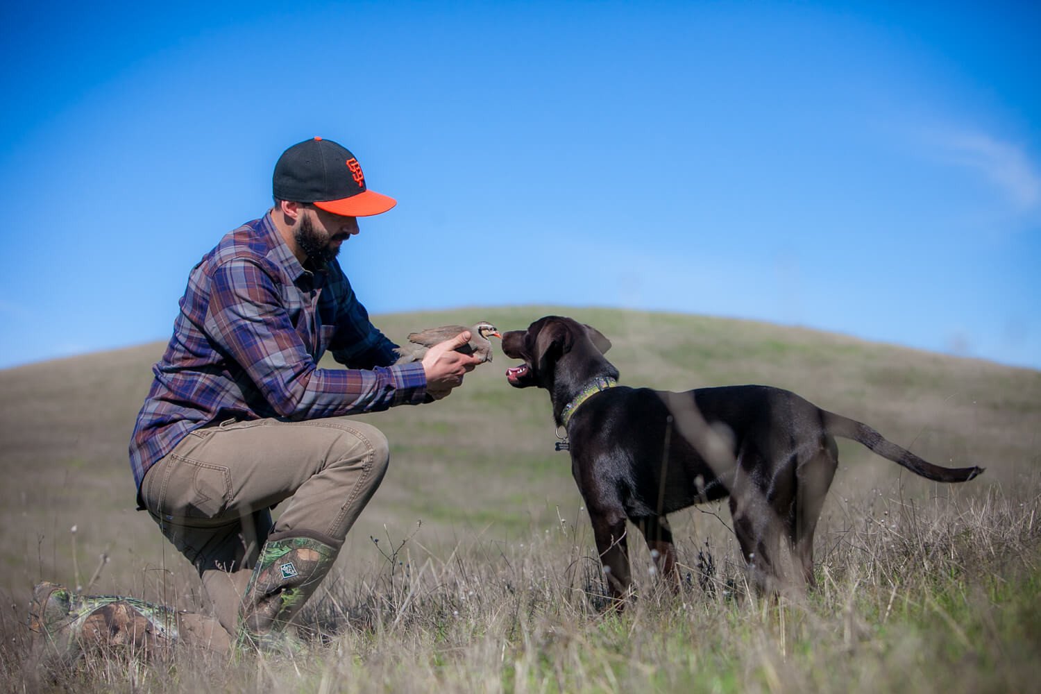 Men's Elli - Bark Brown Flannel